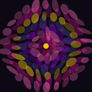 Midnight Bloom